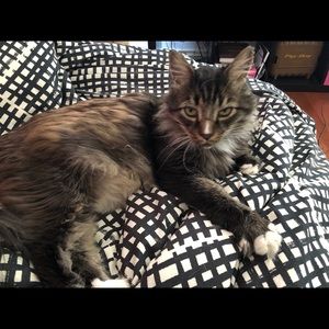 Meet your Posher, Erin